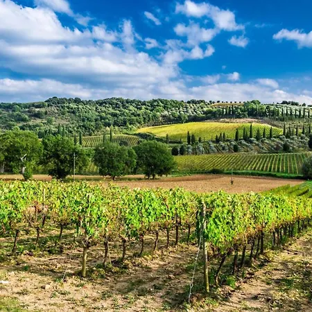 Terre Gialle - La Val D'orcia Nascosta Aparthotel Castel del Piano (Tuscany)