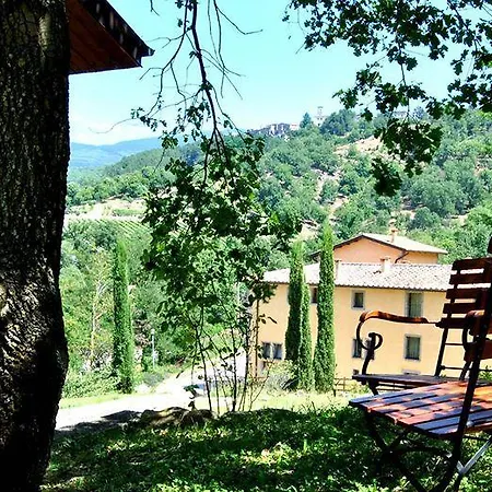 Terre Gialle - La Val D'orcia Nascosta