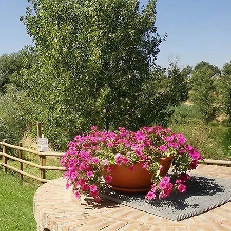 Terre Gialle - La Val D'orcia Nascosta